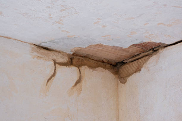 Best Residential water damage restoration  in Blue Bell, PA