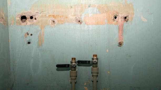 Best Water damage repair service  in Blue Bell, PA